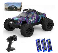X-Verse Auto telecomandata, 1:14, 100 km/h, auto RC impermeabili 4WD con motore 3S brushless, 2,4 GHz, Truck Truggy RC Fuoristrada All Terrain per adulti, 3 batterie (viola)