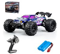 X-Verse Auto telecomandata in scala 1:16, motore a spazzola di carbonio da 50 km/h, auto da corsa RC ad alta velocità, fuoristrada, 2,4 GHz, 4 WD, auto da corsa, 1 batteria (viola)
