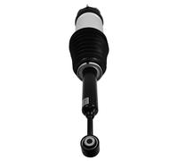 X1 Posteriore SX O Dx Molle Sospensione Per Tesla Modello X 5YJX 102746100E