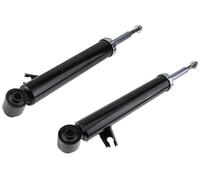 X2 Gamba Forza Posteriore Sinistra + Destra Per BMW X5 E70 X6 E71 E72