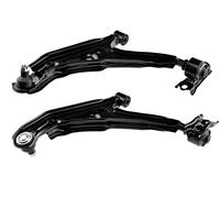X2 Triangolo Braccio Sospensione Inferiore Destra + Sinistra Primera 545012F500