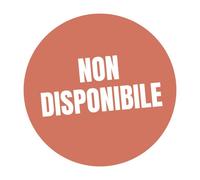 X20 COPRIBULLONI 17MM COPRI DADI TAPPI PER RUOTE AUTO IN ABS GRIGIO UNIVERSALI