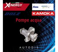 X206632 AP XENERGY POMPA ACQUA PER PA1091