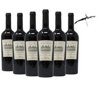 x6 Cesanese Antico Podere Vino Rosso Giovanni D'Offizi 6x75cl 2025 con levatappi