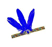 XAGMODSHN Fascia per capelli con piume, per danza, palcoscenico, carnevale, accattivante, con cristalli, comoda fascia elastica