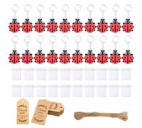 XAGMODSHN Set di 20 portachiavi a forma di coccinelle in robusto PVC, ideali per feste, per ospiti, case creative, decorazioni scolastiche, portachiavi in metallo e PVC, regali per feste