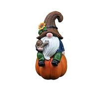 XAGMODSHN Statua di gnomi autunnali del Ringraziamento Decorazione Gnomi zucca Barba Bianca Figurine Autunno Resina Gnomi Statua Per Esterno
