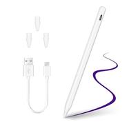 Xahpower Penna stilo per iPad 2018-2024, Palm Rejection Pencil per iPad Pro 11/13 M4, iPad Air 11/13 M2, iPad Pro 11/12,9", iPad 10/9/8/7/6th, iPad Air 5/4/3a, iPad Mini 6/5