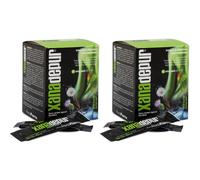 Xanadepur 15 Stick 10 Ml 2x15x10 ml Bustina