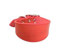 XANHOY Collare imbottito largo per cani in vera pelle collari per cuccioli per levrieri italiani comodi accessori per cani da compagnia