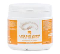 XANTANO GOMMA 200G