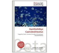 Xanthichthys Caeruleolineatus: Triggerfish, Pacific, Animalia, Chordata, Actinopterygii, Tetraodontiformes