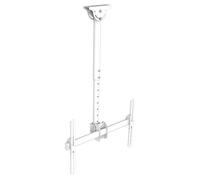 Xantron TV Supporto Da Parete 37-70 " Altezza Regolabile Estrazione Bianco