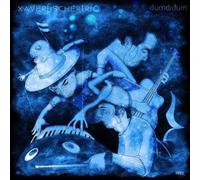 XAVER FISCHER TRIO - Dumdidum