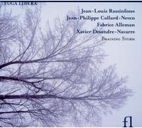 Xavier Desandre-Navarre Rassinfosse ; Collard; Neven: Braining Storm (CD)