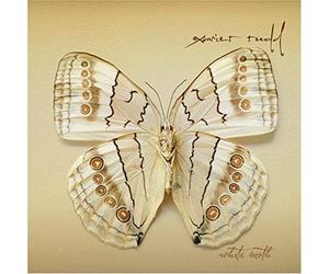 Xavier Rudd - White Moth