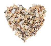 Xbessc 200g Piccole Conchiglie Marine 10 Stelle Marine Naturali Conchiglie da Spiaggia Miste per Feste a Tema Spiaggia Fai da Te Acquario Decorazioni per Vasi Decorazione per Matrimoni