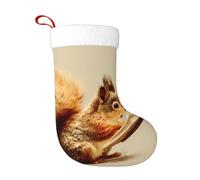 XBKGOHA Calze decorative natalizie Scoiattolo che legge un libro Immagine Utilizzato per attività della comunità, spettacoli teatrali e riunioni di festa