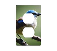 XBKGOHA Pannello decorativo da parete con immagine di uccellini dell'usignolo etereo doppia presa decorativa per aree residenziali e commerciali 11,4 x 7 cm