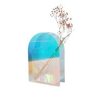 Xbsduih 1 vaso per la casa, decorazione di nozze, contenitore per piante in acrilico multicolore