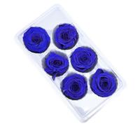 Xbsduih 6 pezzi di fiori di vita conservati 5-6 cm, testa di rose, matrimonio, decorazione, amante, festa della mamma, fai da te, fiori regalo fatti a mano, facile da installare, facile da usare