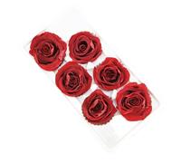 Xbsduih 6 pezzi di fiori di vita conservati 5-6 cm, testa di rose, matrimonio, decorazione, amante, festa della mamma, fai da te, fiori regalo fatti a mano, facile da installare, A