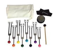 Xbsduih Set di Diapason per Chakra per La Guarigione, Diapason con Attivatore di Diapason per La Guarigione, Terapia del Suono, Mantenimento del Corpo
