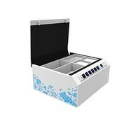 XBTGS Cassetta di sicurezza digitale per contanti con impronte digitali, portatile, per contanti e gioielli, in lega, resistente alle cadute, adatta per camera da letto, ufficio, viaggi,