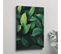 XBTYKPB Poster su tela, Foresta pluviale tropicale, Grandi foglie verdi, Dipinti su tela in stile naturale, Per camera da letto e soggiorno 40x60 cm senza cornice