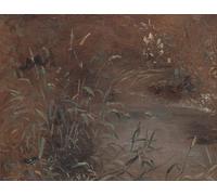 XcBAIHOUD Famoso Immagini Moderni Quadri Tele Stampe Juncos de John Constable per la Decorazione Domestica dell'ufficio 60x90cm