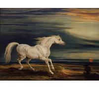 XcBAIHOUD Famoso Immagini Moderni Quadri Tele Stampe Marengo el cargador árabe montado por un artista famoso per la Decorazione Domestica dell'ufficio 60x90cm