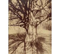 XcBAIHOUD Famoso Immagini Moderni Quadri Tele Stampe Tree Roots Saint Cloud de Eugène Atget per la Decorazione Domestica dell'ufficio 60x90cm