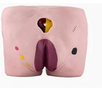 XCGDNVRDP Modello Infermieristico for ulcere da decubito, 4 stadi dell'ulcera da decubito, Modello di Cura for ulcere da decubito negli Anziani, for insegnare Esercizi infermieristici di Base con