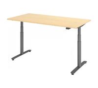 XDLR 16 G | 160x80 | Scrivania altezza regolabile elettricamente - Acero 160x80 regolabile in altezza elettrico