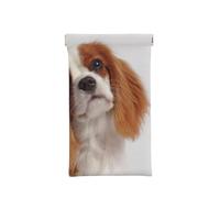 XDVPALNE Cavalier King Charles Spaniel, Custodia per occhiali Borsa per occhiali Custodia per occhiali portatile Custodia per occhiali da sole in pelle PU