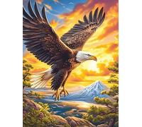 XEagle Flying Over A Mountain Valley Puzzle 500 Pezzi Rompicapo Creativo Artistico Wildlife Pet Stimolo Della Creatività Attività Per Il Tempo Libero Regalo Per Persone Creative 500 PCS