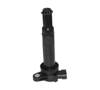 XEDLAMP Bobina di accensione for auto, for Hyundai, for SANTA Fé II CM 2.7 G6BA 2006-2012, for CARNIVAL GRAND MAGENTIS, for MG, OEM 273013E100 5C1782 pacco bobina Bobina di accensione(BLACK 1 PC)
