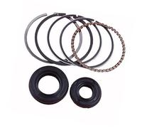 XEDLAMP Set di paraolio for manovella albero motore da 39 mm, for tosaerba a 4 tempi GX35 GX 35,8 CC pezzo ricambio for piccolo 140 Guarnizione dell'albero motore