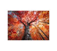 XENIOU Quadri Moderni L'albero dalle foglie gialle nella foresta quadri in tela, quadri vintage per quadri per soggiorno, camera da letto, appartamento.(arancia)-60x90cm Non incorniciato