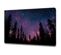 XENIOU Quadri Paesaggio Su Tela Pittura della foresta sotto le stelle quadri moderni, stampe su tela, per soggiorno, camera da letto e bagno(blu)-60x90cm Incorniciato