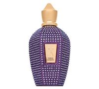 Xerjoff V Collection Purple Accento 100 ml eau de parfum Unisex