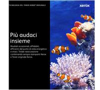Xerox Toner Ciano per Stampanti Laser WorkCentre e Phaser