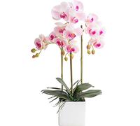 XFLSDHGD Bonsai Floreale Artificiale con Vaso vivido orchideo disposto Floreale phalaenopsis Fiori pentola per Decorazioni per la casa di casa Decorazioni per Feste (Orchidea Rosa per Tavolo da casa