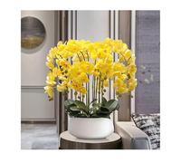 XFLSDHGD Faux Orchid Artificiale Fiori in pentola in Ceramica, Grande Composizione Floreale di falaenopsis di Seta Centrotavola Floreali per Sala da Pranzo Decorazione Interno