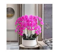XFLSDHGD Faux Orchid Artificiale Fiori in pentola in Ceramica, Grande Composizione Floreale di falaenopsis di Seta Centrotavola Floreali per Sala da Pranzo Decorazione Interno