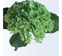 XFLSDHGD Insieme di 5 Fiori di ortensiga Lieve 3D Real Touch Artificiale Hydrangea Finori FOWERS per la Decorazione della Festa