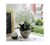 XFLSDHGD Orchidee Artificiali con Vaso per la casa Decorazione pumaenopsis Bonsai finte Piante di Fiori con arrangiamento per Ufficio Home Office da Festa del centrotavola Decorazione