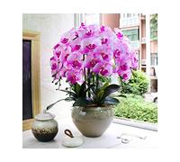 XFLSDHGD Orchidee Artificiali con Vaso per la casa Decorazione pumaenopsis Bonsai finte Piante di Fiori con arrangiamento per Ufficio Home Office da Festa del centrotavola Decorazione