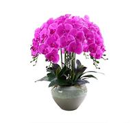 XFLSDHGD Orchidee artificiali con vaso per la decorazione domestica PU Phalaenopsis Bonsai Piante finte Composizione di fiori Home Office Party Tavolo Centrotavola Decorazione