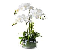 XFLSDHGD Phalaenopsis Orchid Floral Disposition in Vaso, Orchidee finte di Seta Fiori Artificiali per Interni per la Decorazione per Ufficio per Matrimoni da casa Esterno